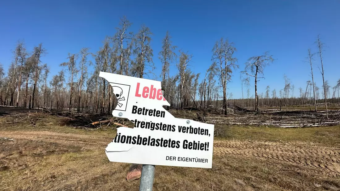 Beschädigt ist ein Warnschild am mit Munition belasteten Waldbrandgebiet bei Lübtheen. Der Waldbrand ist unter Kontrolle. - Bild: Steven Hutchings/TNN/dpa