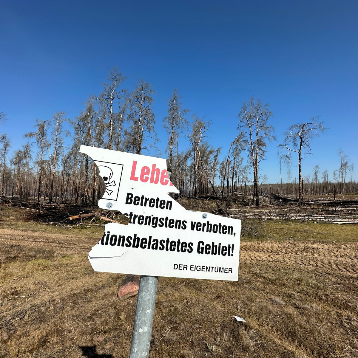 Beschädigt ist ein Warnschild am mit Munition belasteten Waldbrandgebiet bei Lübtheen. Der Waldbrand ist unter Kontrolle. - Foto: Steven Hutchings/TNN/dpa