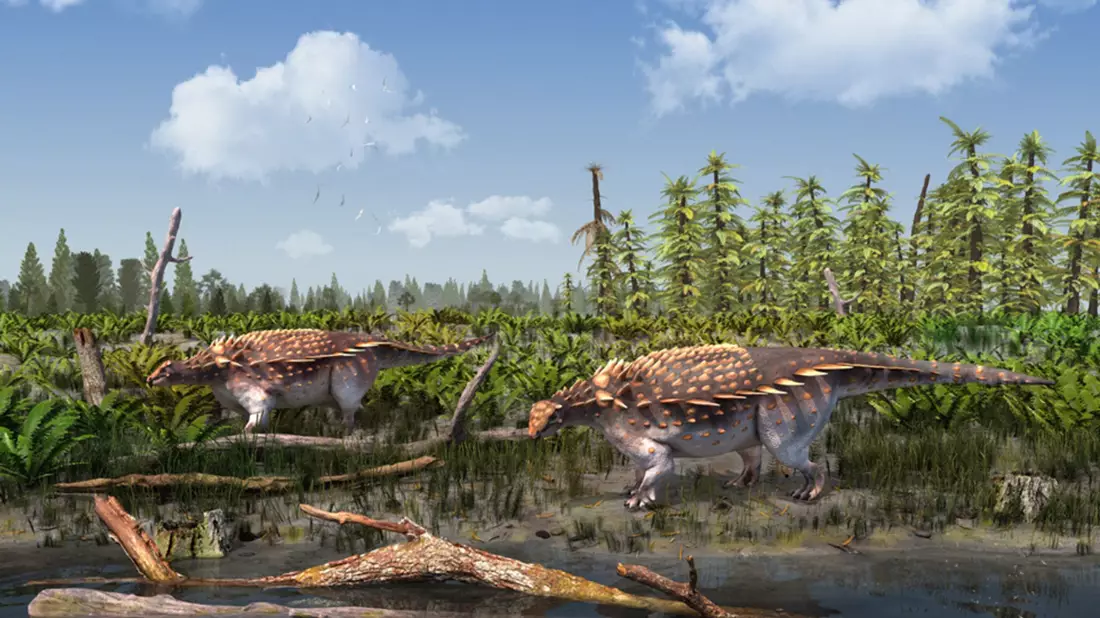 Eine Illustration der Vectipelta barretti. Laut Forschenden könnten sich die Dinos in der frühen Kreidezeit vor rund 140 Millionen Jahren frei von Asien nach Europa bewegt haben. - Bild: Stuart Pond/dpa