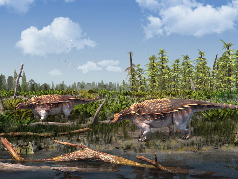 Eine Illustration der Vectipelta barretti. Laut Forschenden könnten sich die Dinos in der frühen Kreidezeit vor rund 140 Millionen Jahren frei von Asien nach Europa bewegt haben. - Foto: Stuart Pond/dpa
