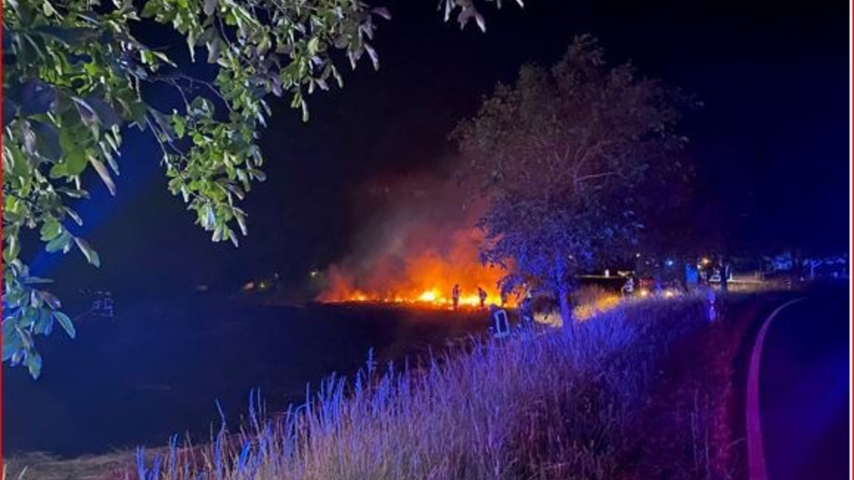 POL-VER: Pressemitteilung der Polizeiinspektion Verden/Osterholz von Samstag, den 21.12.2024 - Foto: presseportal.de