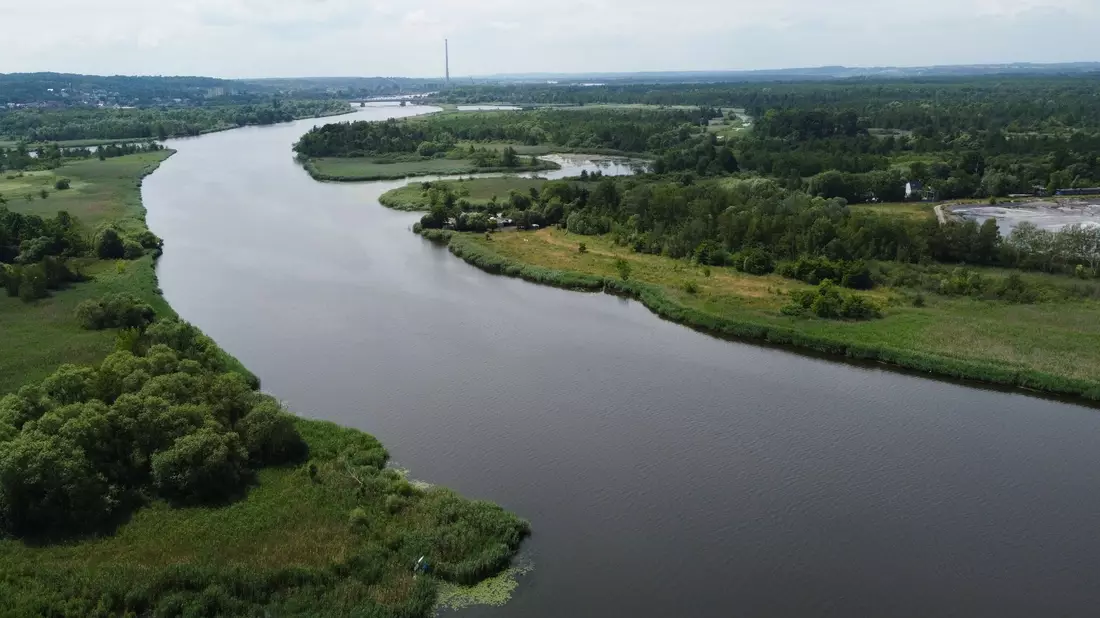 Blick auf die Oder bei Stettin: Behörden zufolge ist das Wasser im Unterlauf des Flusses frei von gefährlichen Goldalgen, die vergangenen Sommer zum großen Fischsterben geführt haben. - Bild: Marcin Bielecki/PAP/dpa
