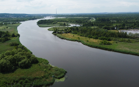 Blick auf die Oder bei Stettin: Behörden zufolge ist das Wasser im Unterlauf des Flusses frei von gefährlichen Goldalgen, die vergangenen Sommer zum großen Fischsterben geführt haben. - Foto: Marcin Bielecki/PAP/dpa