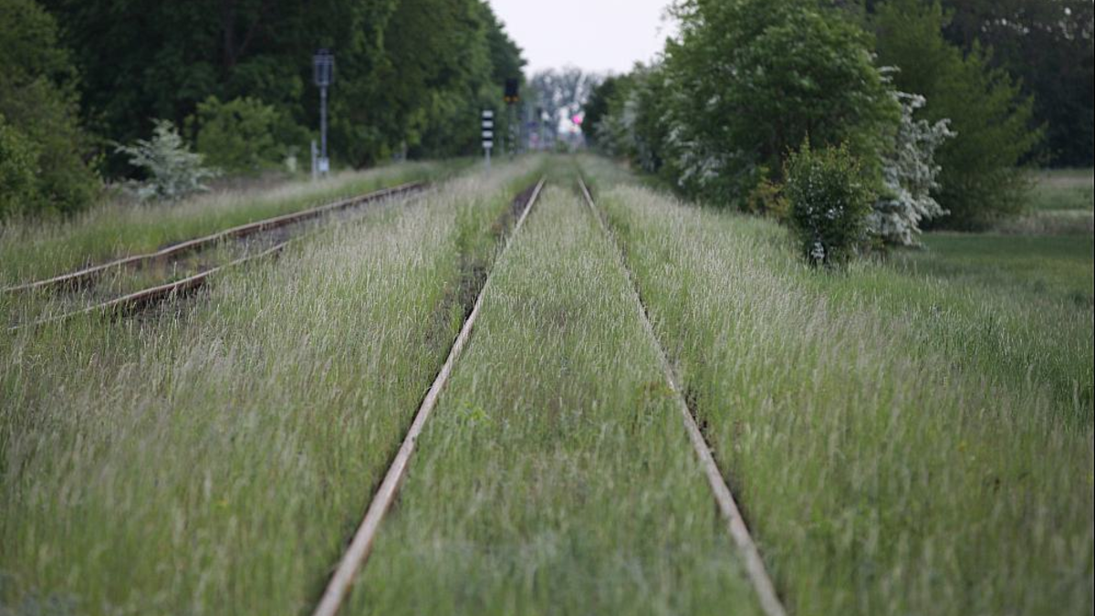 Schienen - Foto: ?ber dts Nachrichtenagentur