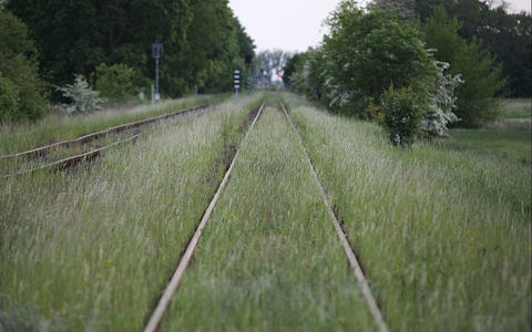 Schienen - Foto: ?ber dts Nachrichtenagentur
