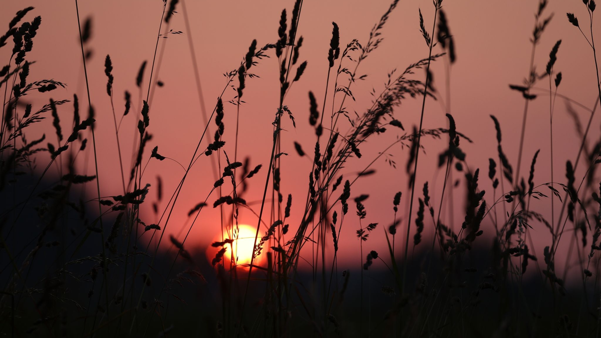 Die Sonne geht am frühen Morgen hinter einer Wiese in Bayern auf. - Foto: Karl-Josef Hildenbrand/dpa