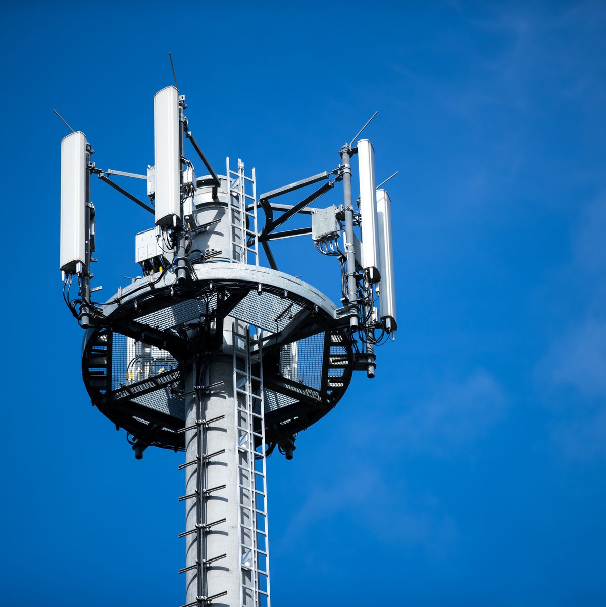 1&1 hat 2019 zum ersten Mal eigene Mobilfunk-Frequenzen ersteigert. Bisher nutzt die Firma Netze anderer Betreiber, um Handyverträge zu verkaufen. - Foto: Jens Büttner/dpa-Zentralbild/dpa