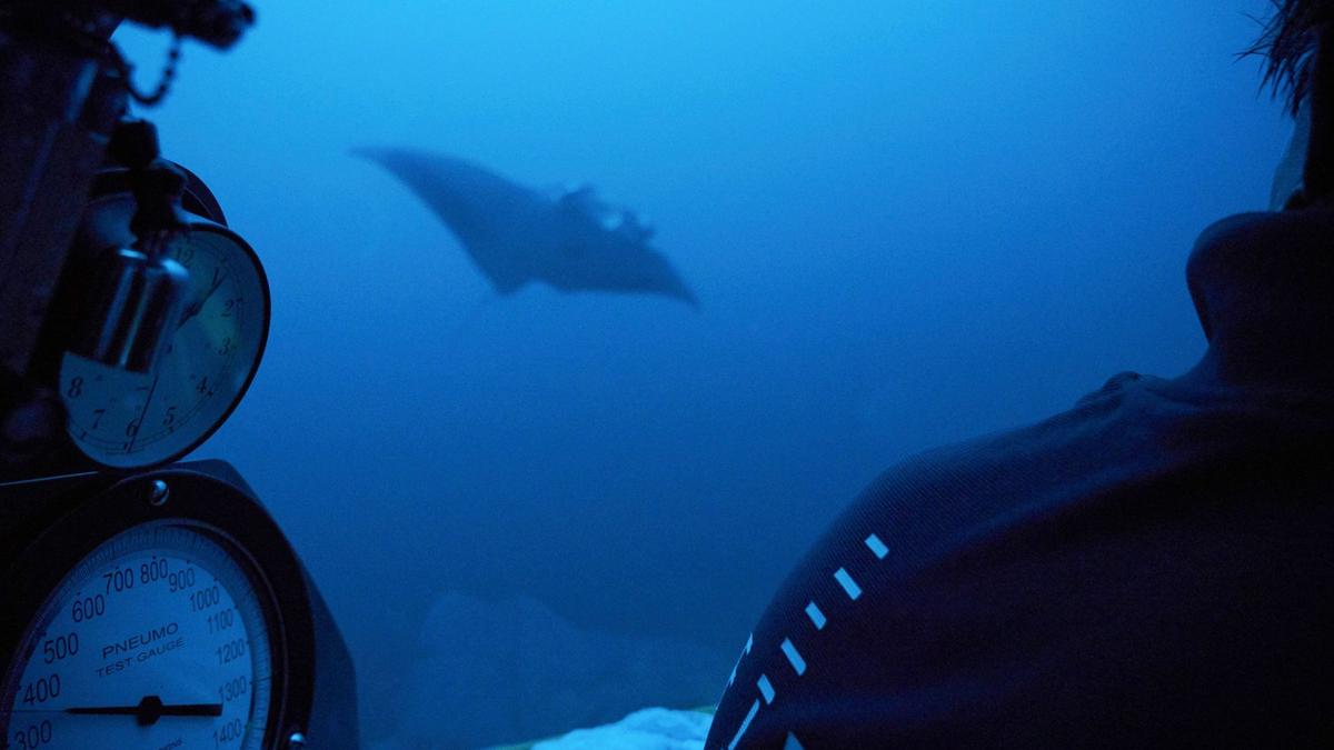 Zwei Drittel der Ozeane gehören zur Hochsee und waren damit bislang weitgehend rechtsfreier Raum. - Foto: David Keyton/AP
