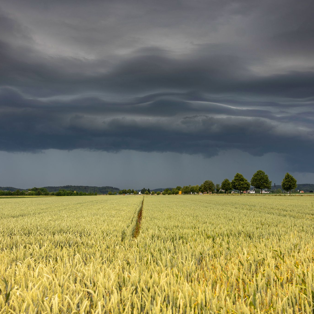 Gewitterwolken ziehen über die Region Augsburg. Der Deutsche Wetterdienst warnt vor Unwettern mit Starkregen, Gewittern und Hagel. - Foto: Bernd März/dpa