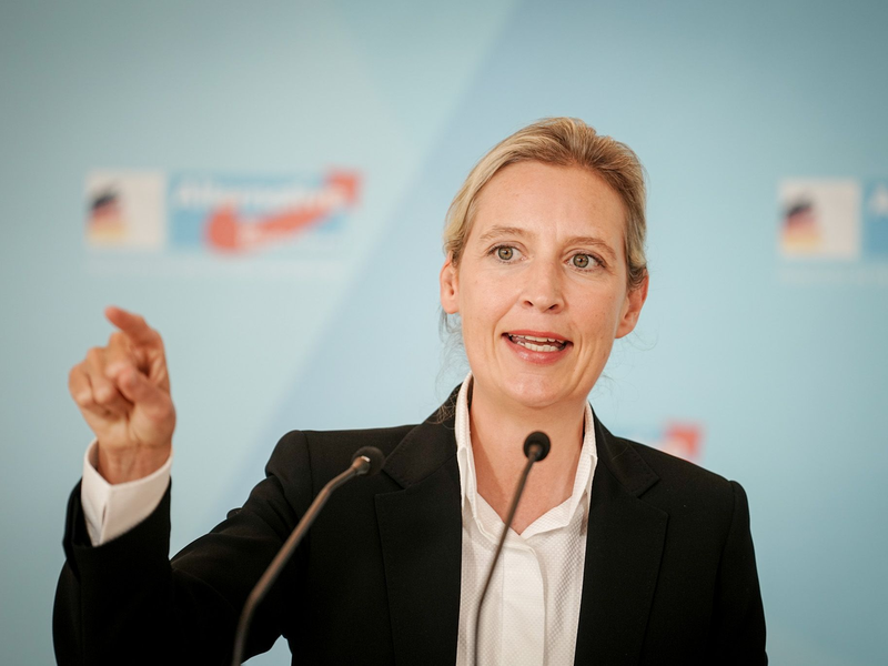 AfD-Chefin Alice Weidel nach der Europawahl. - Foto: Kay Nietfeld/dpa