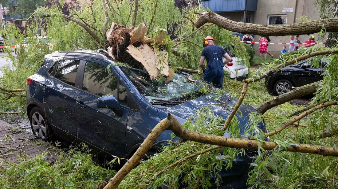 Nach einem schweren Unwetter räumen Feuerwehrleute Äste eines umgestürzten Baumes von geparkten Autos in Frankfurt am Main. - Bild: Boris Roessler/dpa