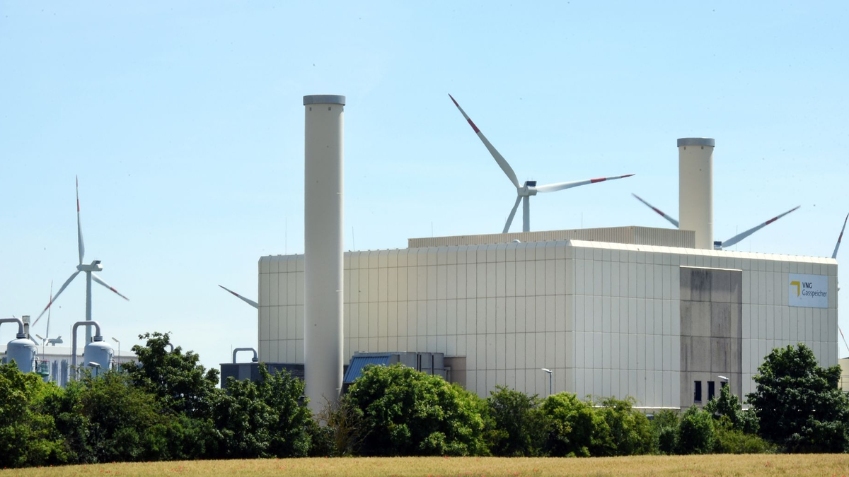 Vor allem Großunternehmen passen sich einer Studie zufolge an die Erderwärmung und ihren Folgen an. - Foto: Waltraud Grubitzsch/dpa