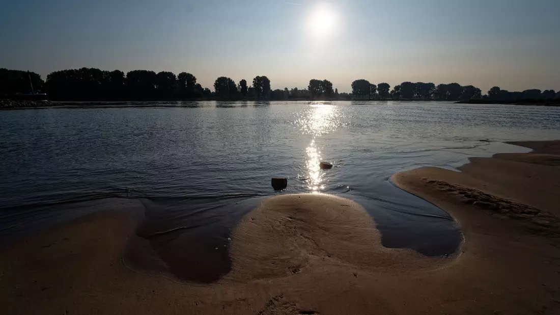 Die Sonne spiegelt sich auf dem Rhein bei Köln-Langel. - Bild: Henning Kaiser/dpa