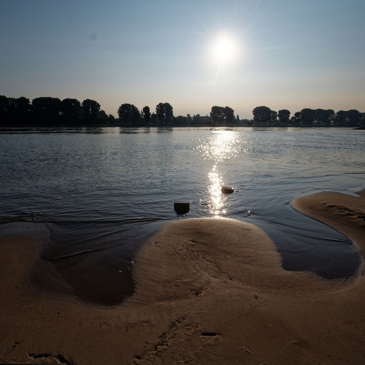 In der EU sollen mehr Bäume gepflanzt sowie Moore und Flüsse in ihren natürlichen Zustand zurückversetzt werden. - Foto: Henning Kaiser/dpa