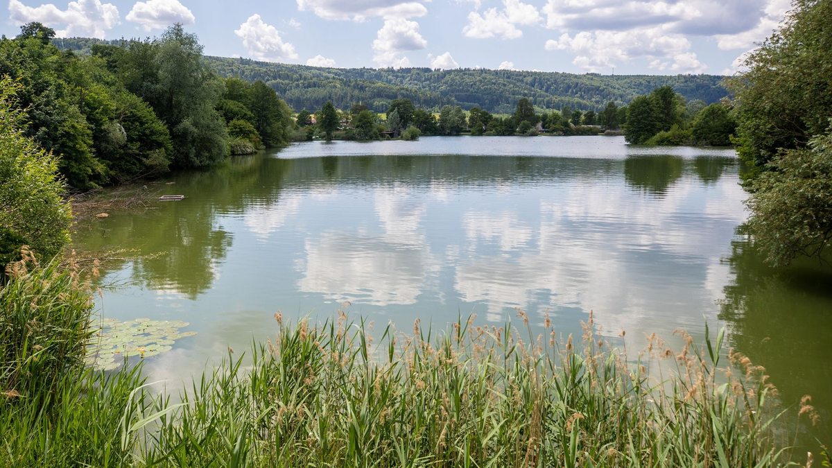 Einzelne Wolken ziehen über einen Badesee hinweg. - Foto: Christoph Schmidt/dpa