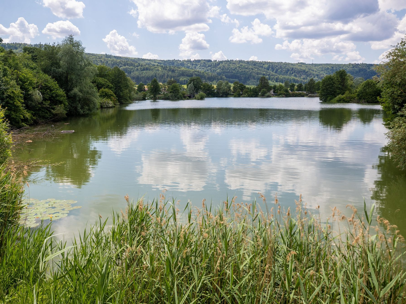 Einzelne Wolken ziehen über einen Badesee hinweg. - Foto: Christoph Schmidt/dpa