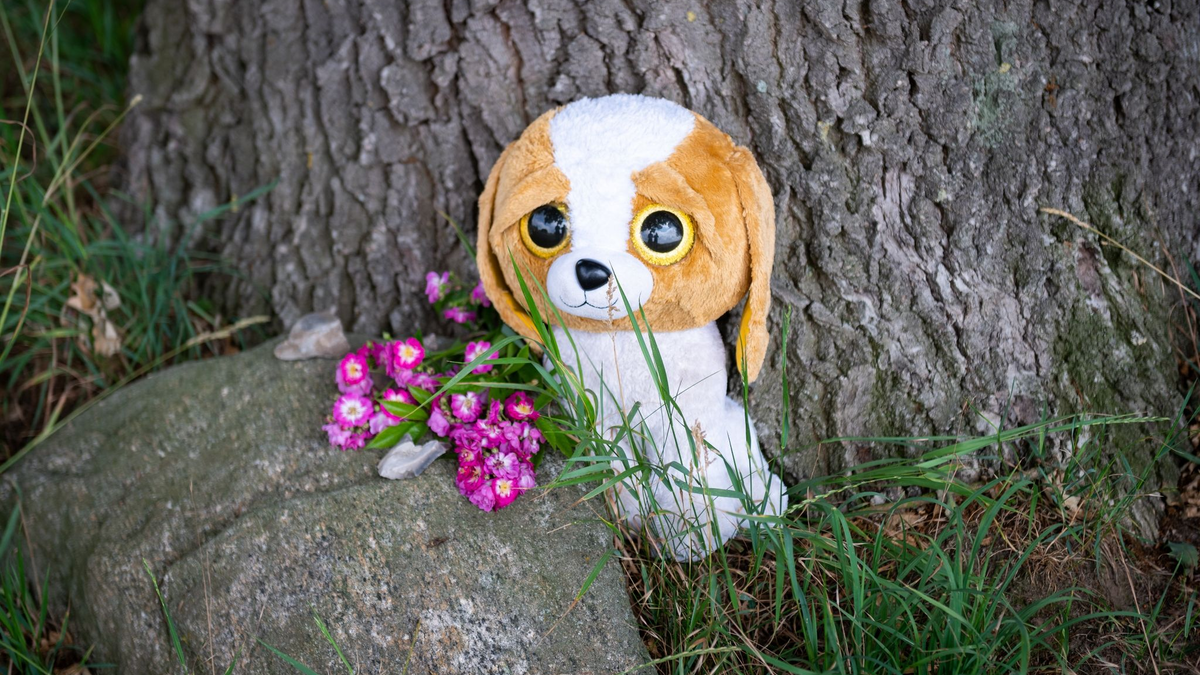 Gedenken nahe der Unfallstelle in  Toppenstedt, wo ein erwachsener Mann und ein Junge tödlich verunglückt sind. - Foto: Jonas Walzberg/dpa