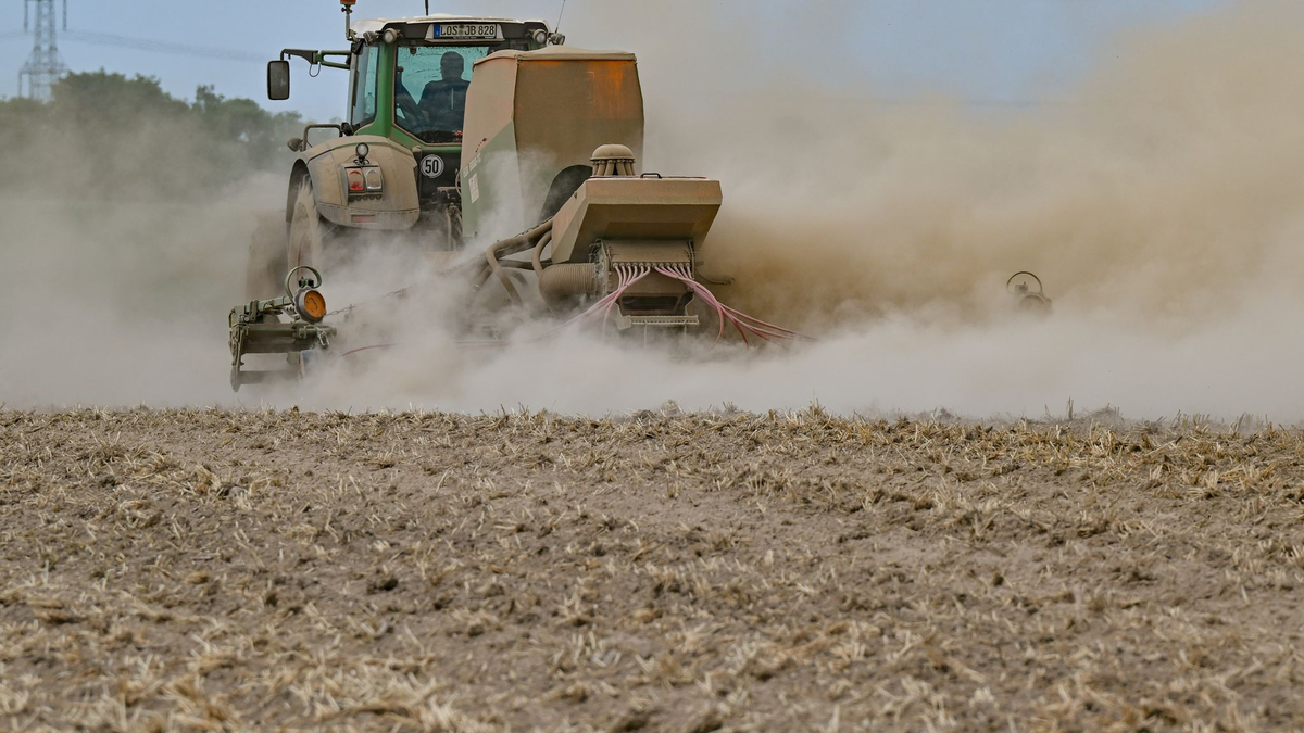 Ein Landwirt in Brandenburg drillt Saatgut in seinen ausgetrockneten Acker. - Foto: Patrick Pleul/dpa