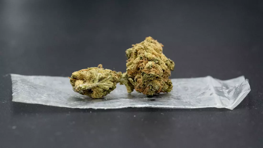 Die Erlaubnis zum Konsum im privaten Raum soll nur «eine erste Etappe» auf dem Weg zu einer umfassenderen Cannabis-Freigabe sein. - Bild: Hannes P. Albert/dpa