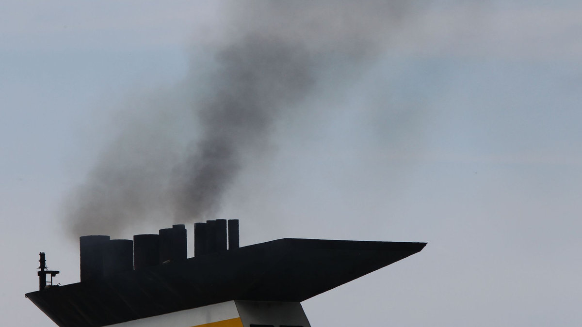Die Kreuzfahrtbranche kommt beim Klimaschutz kaum voran. - Foto: Jens Büttner/dpa-Zentralbild/dpa