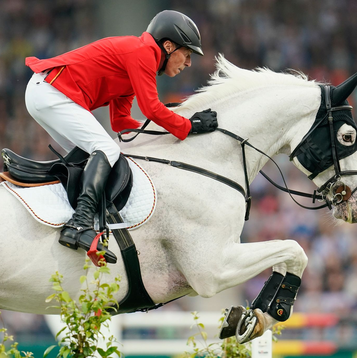 Wurde mit Deutschlands Sprintreitern Fünfter:  Hans-Dieter Dreher. - Foto: Uwe Anspach/dpa