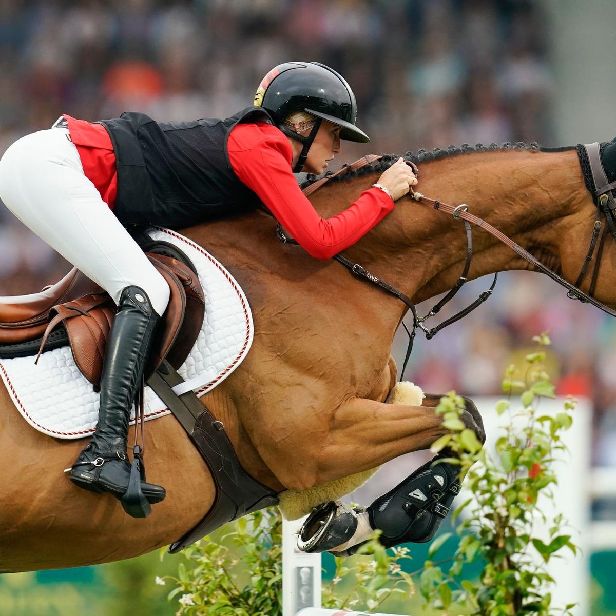 Jana Wargers hat für den ersten Heimsieg in einem wichtigen CHIO-Springen gesorgt - Foto: Uwe Anspach/dpa
