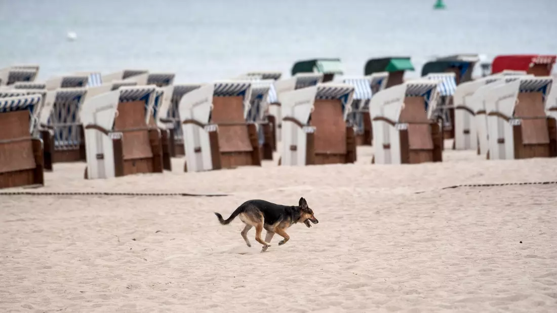 Regnerisches Wetter mit verschlossenen Strandkörben am Strand von Warnemünde. - Bild: Frank Hormann/dpa