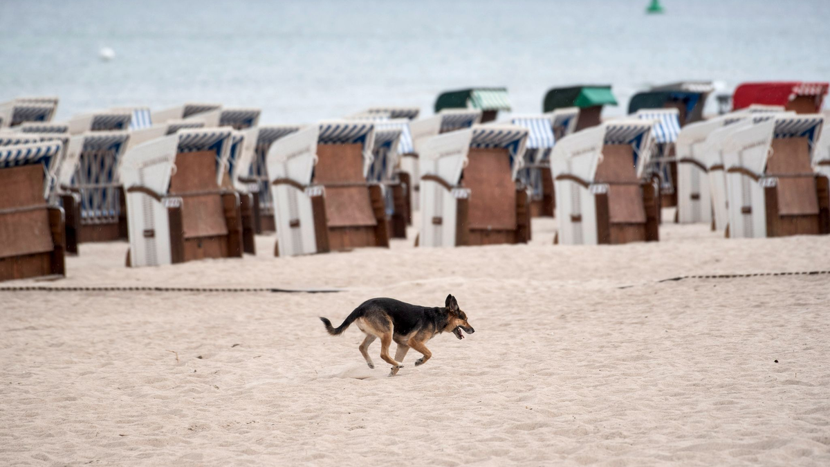 Regnerisches Wetter mit verschlossenen Strandkörben am Strand von Warnemünde. - Foto: Frank Hormann/dpa