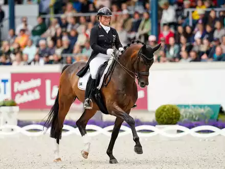 Isabell Werth darf mit Wendy (nicht im Bild) auf einen Olympia-Start hoffen. - Foto: Uwe Anspach/dpa