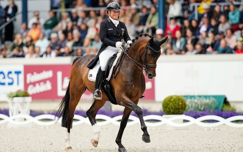 Isabell Werth darf mit Wendy (nicht im Bild) auf einen Olympia-Start hoffen. - Foto: Uwe Anspach/dpa