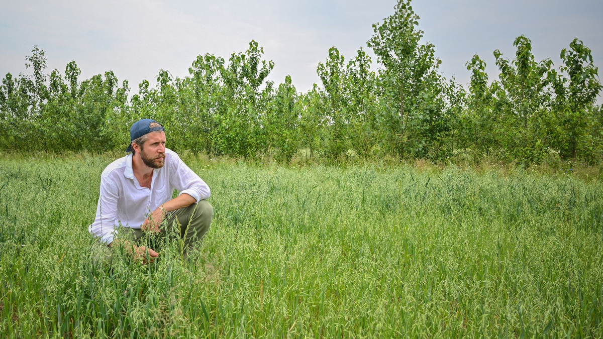 «Wasser wird immer knapper, wir haben keinen gesunden Boden mehr»: Landwirt Benedikt Bösel. - Foto: Patrick Pleul/dpa