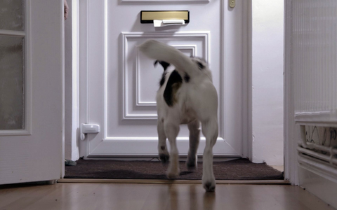 Die Anzahl der Hundeattacken auf «Posties» ist in Großbritannien gestiegen. - Foto: Royal Mail/PA Media/dpa