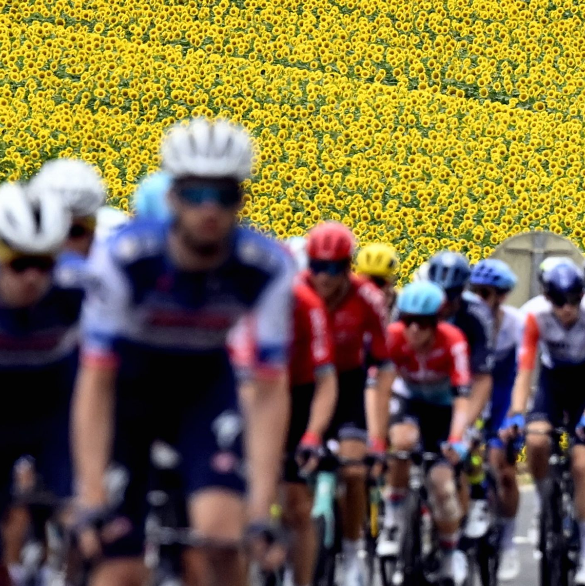 Das Fahrerfeld während der vierten Etappe. - Foto: Dirk Waem/Belga/dpa