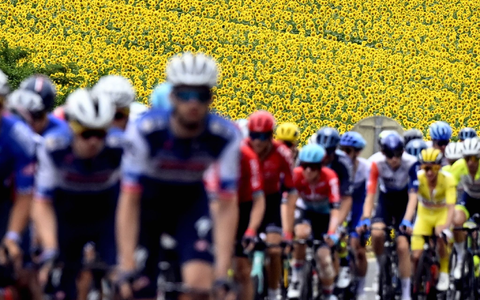 Das Fahrerfeld während der vierten Etappe. - Foto: Dirk Waem/Belga/dpa