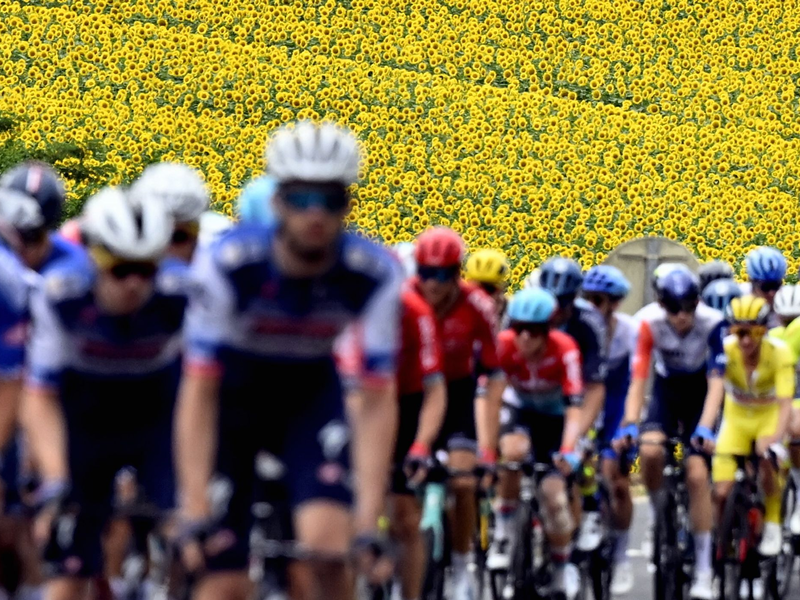 Das Fahrerfeld während der vierten Etappe. - Foto: Dirk Waem/Belga/dpa