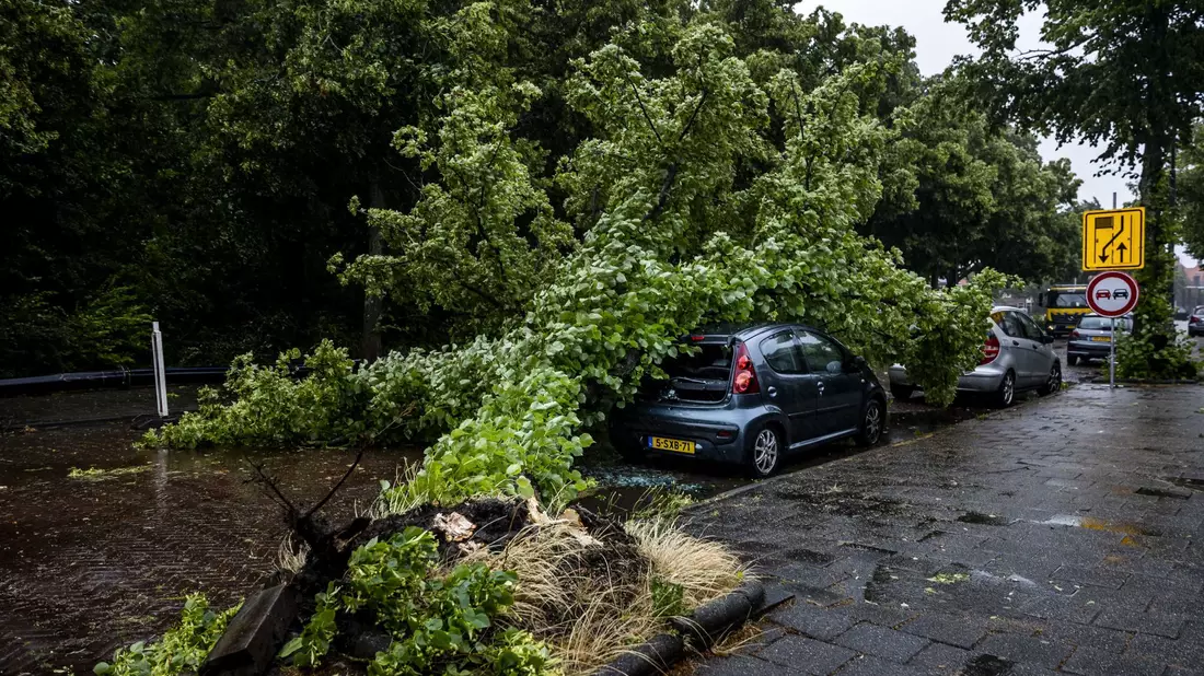 Umgestürzter Baum auf einem Auto im niederländischen Haarlem. - Bild: Remko De Waal/ANP/dpa