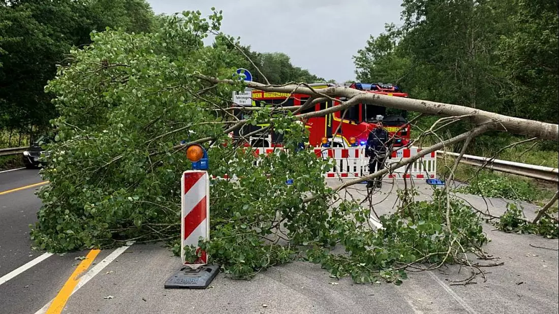 Einsatz der Feuerwehr Bremerhaven am 05.07.2023 - Bild: Feuerwehr Bremerhaven,  Text: ?ber dts Nachrichtenagentur