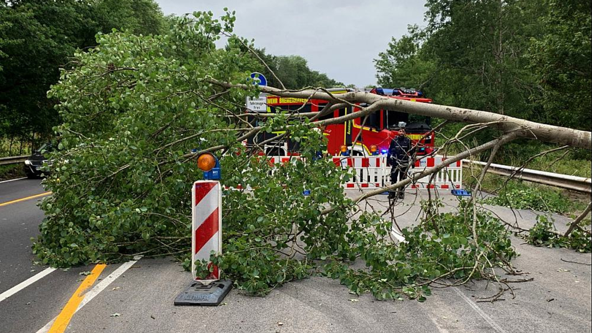 Einsatz der Feuerwehr Bremerhaven am 05.07.2023 - Foto: Feuerwehr Bremerhaven,  Text: ?ber dts Nachrichtenagentur