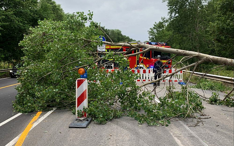 Einsatz der Feuerwehr Bremerhaven am 05.07.2023 - Foto: Feuerwehr Bremerhaven,  Text: ?ber dts Nachrichtenagentur