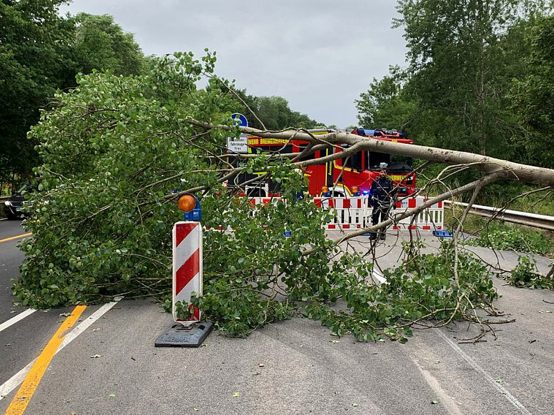 Einsatz der Feuerwehr Bremerhaven am 05.07.2023 - Foto: Feuerwehr Bremerhaven,  Text: ?ber dts Nachrichtenagentur