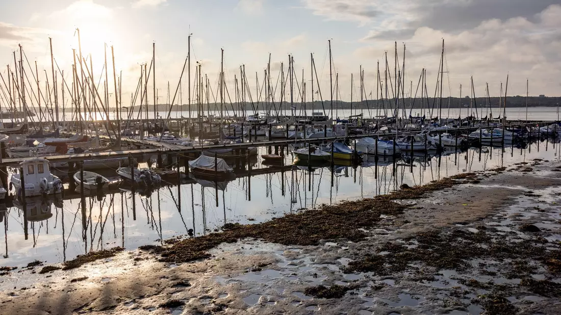 Die Sonne scheint auf einen Bootshafen an der Kieler Förde, aus dem das Sturmtief «Poly» das Wasser herausgedrückt hat, so dass die normalerweise mit Wasser bedeckten Ufer trocken liegen. - Bild: Axel Heimken/dpa