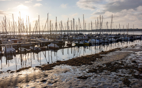 Die Sonne scheint auf einen Bootshafen an der Kieler Förde, aus dem das Sturmtief «Poly» das Wasser herausgedrückt hat, so dass die normalerweise mit Wasser bedeckten Ufer trocken liegen. - Foto: Axel Heimken/dpa