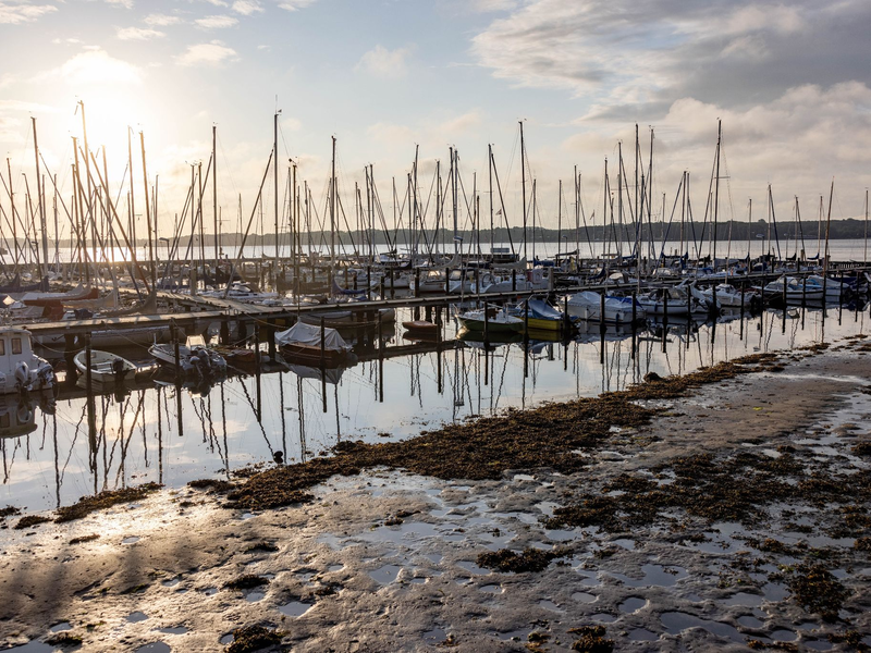 Die Sonne scheint auf einen Bootshafen an der Kieler Förde, aus dem das Sturmtief «Poly» das Wasser herausgedrückt hat, so dass die normalerweise mit Wasser bedeckten Ufer trocken liegen. - Foto: Axel Heimken/dpa