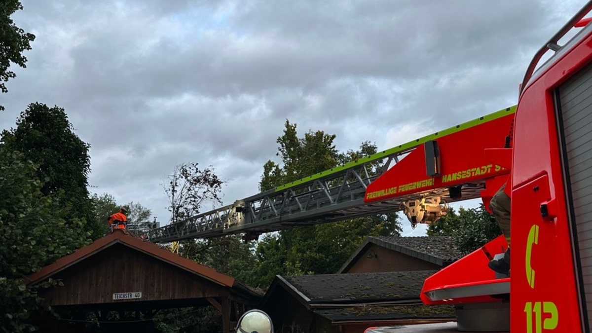 POL-BN: #sicherimStraßenverkehr - Verkehrssicherheitsaktion an der Carl-Schurz-Grundschule in Tannenbusch - Schülerinnen und Schüler übergaben Zitronen nach Geschwindigkeitsverstößen - Foto: presseportal.de