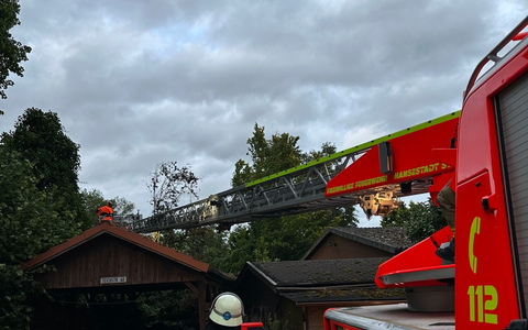 POL-BN: #sicherimStraßenverkehr - Verkehrssicherheitsaktion an der Carl-Schurz-Grundschule in Tannenbusch - Schülerinnen und Schüler übergaben Zitronen nach Geschwindigkeitsverstößen - Foto: presseportal.de