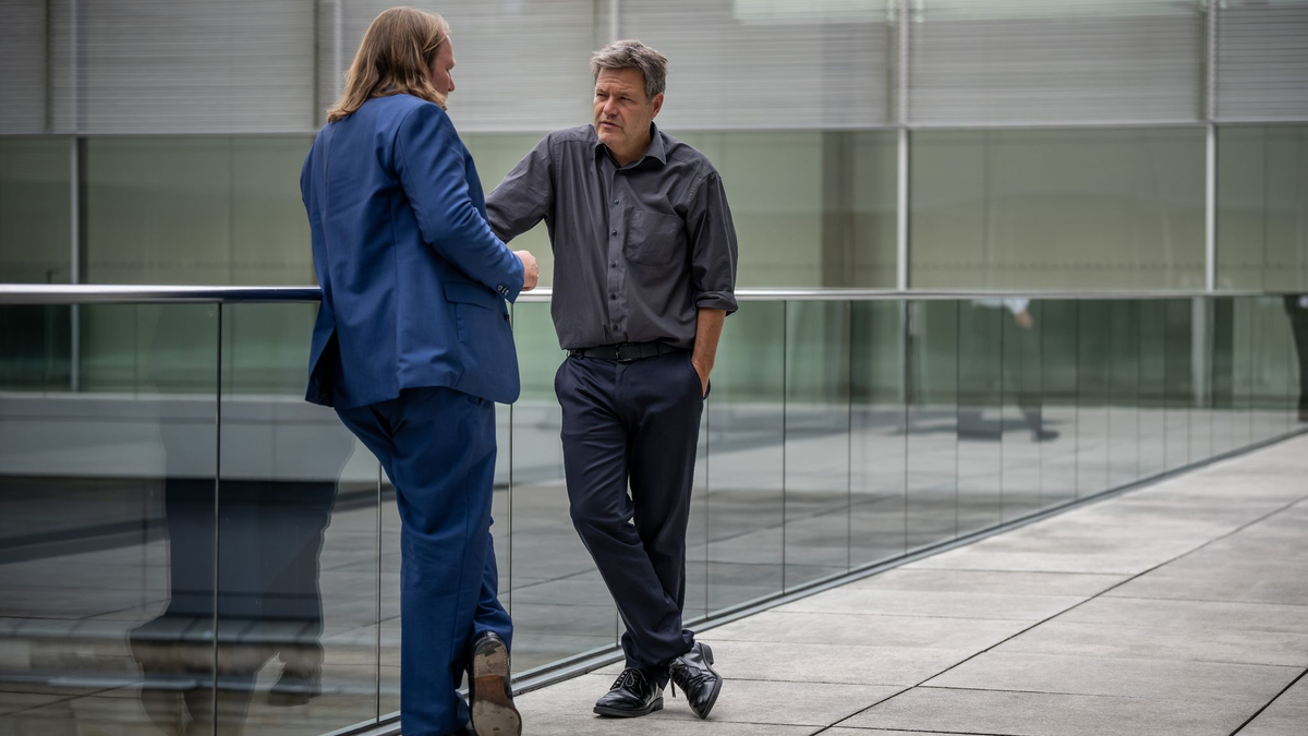 Wirtschaftsminister Robert Habeck spricht in der Pause einer Fraktionssitzung im Bundestag mit Anton Hofreiter (beide Bündnis 90/Die Grünen). - Foto: Michael Kappeler/dpa