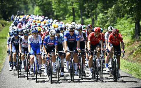 Das Fahrerfeld während der siebten Etappe. - Foto: Jasper Jacobs/Belga/dpa