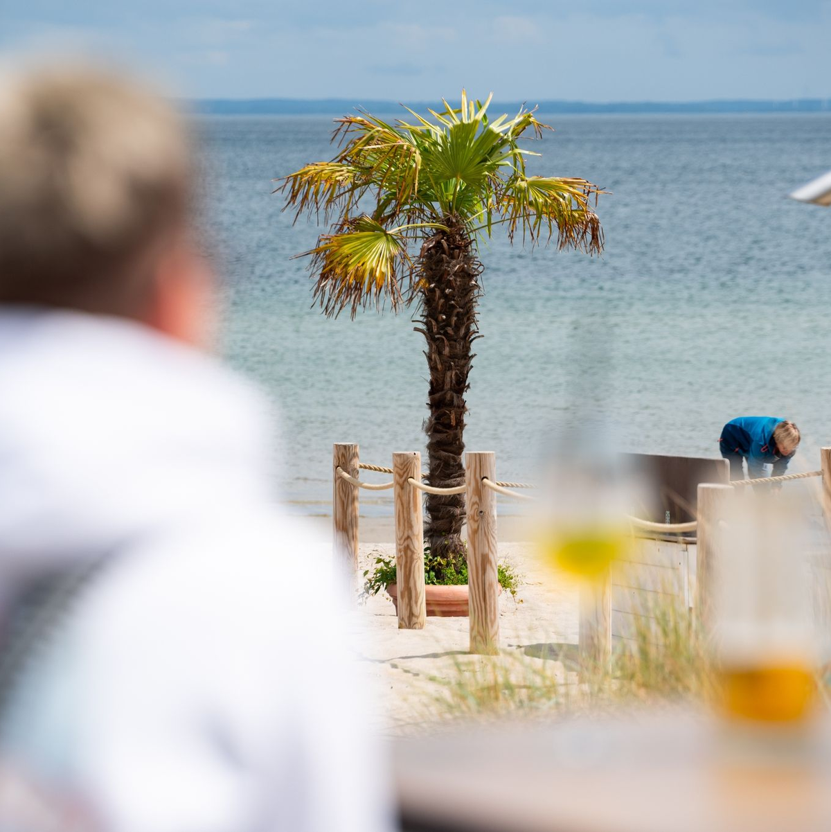 Mallorca oder doch Ostsee? Palmen sollen für mehr Urlaubsgefühl sorgen. - Foto: Jonas Walzberg/dpa