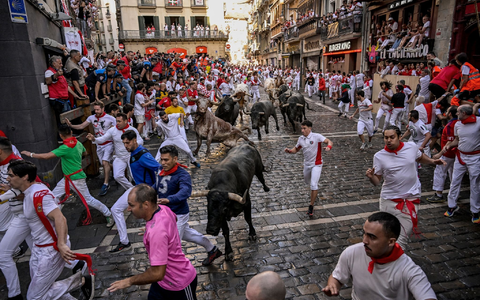 Viele Läufer halten traditionell eine aufgerollte Zeitung in der Hand, mit der sie während der Hatz anderen Läufern Zeichen geben und den Stieren auch leichte Klapse geben können, um sie zu dirigieren. - Foto: Alvaro Barrientos/AP
