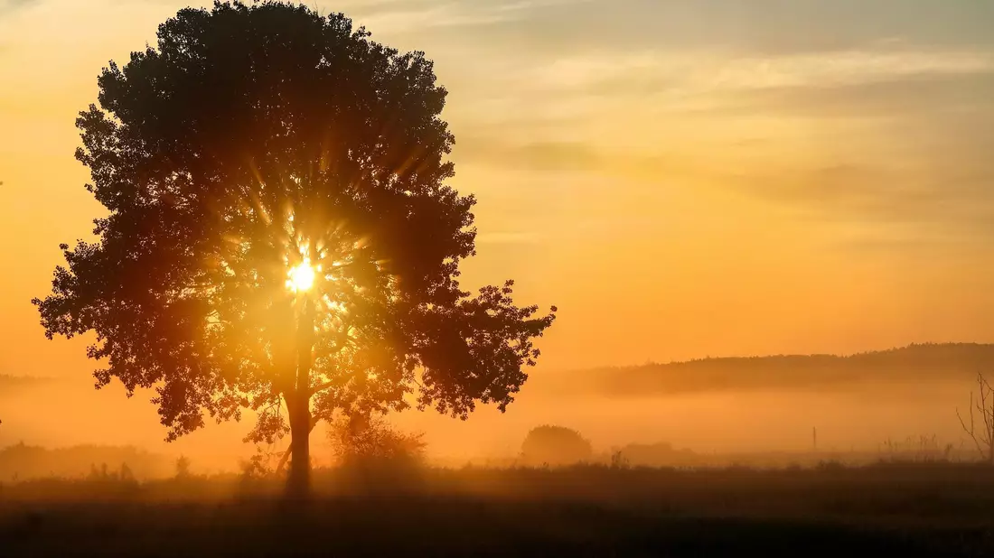 Die Sonne geht auf. Es wird heiß am Sonntag. - Bild: Thomas Warnack/dpa